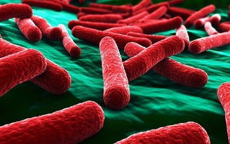 Tạo ra chủng ‘siêu’ vi rút tiêu diệt được siêu vi khuẩn kháng thuốc