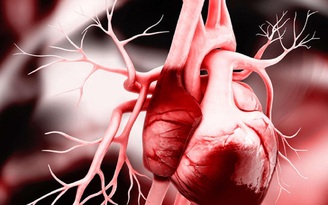Lần đầu tiên hồi sinh trái tim chết để ghép cho bệnh nhân ở Mỹ