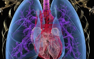 3 món cần hạn chế để giữ cho phổi luôn khỏe mạnh