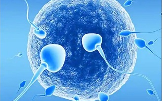 4 nguyên nhân khó ngờ khiến nam giới bị giảm tinh trùng mà không biết