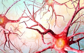 Phát hiện khó tin: Tế bào não tiếp tục hoạt động sau khi chết nhờ ‘gien zombie’