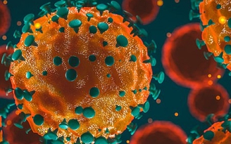Tổng trọng lượng của virus SARS-CoV-2 trên toàn thế giới nặng bao nhiêu?