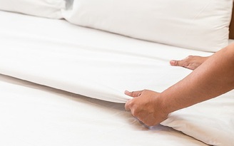 Giường ngủ có thể chứa những mầm bệnh nào?