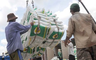 VietBank cung ứng vốn cho chuỗi sản xuất, cung ứng và kinh doanh lúa gạo