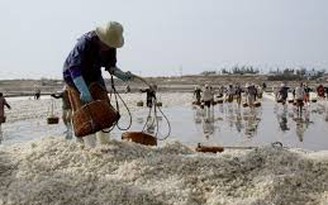 VN thiếu 300.000 tấn muối năm 2015