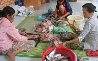 Nhà nông phục vụ tết - Kỳ 3: Chả cá hồ Lắk