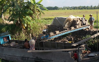 Nông dân đào ruộng bán