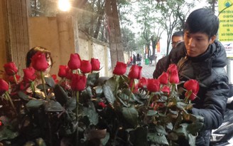 Hoa hồng 'lạ' đắt khách dịp 8.3