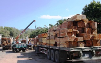 Nhiều doanh nghiệp gỗ 'chết đứng' vì phụ thuộc Trung Quốc