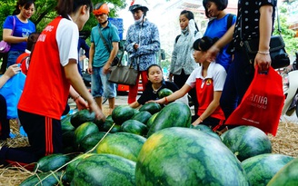 Nhà nước cần hướng dẫn trồng cây gì, con gì