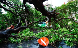 Hãy cứ đổ lỗi cho nhau!