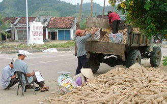 Doanh nghiệp kinh doanh mì lát kêu trời vì thuế