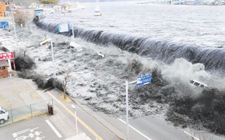 Xây dựng 281 trạm cảnh báo sóng thần tại 7 tỉnh thành miền Trung