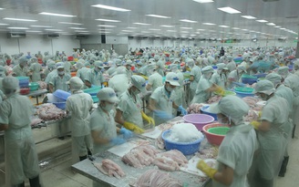 Trung Quốc nhập khẩu cá tra VN tăng 50%