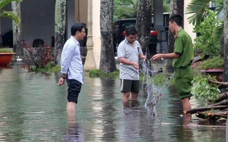 Mưa lớn, cá 'tung tăng' trên phố ở Rạch Giá