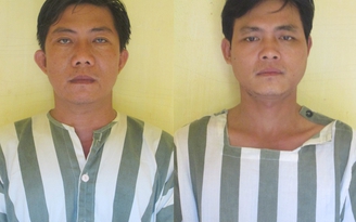 Trộm bò hoành hành vùng nông thôn