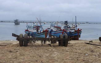 Phú Quý đối phó với mưa bão