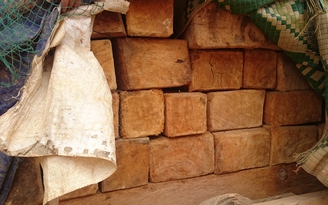 Thâm nhập đường dây phá rừng