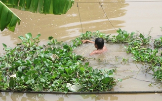 Giám định tâm thần người chồng quăng hài cốt vợ xuống kinh