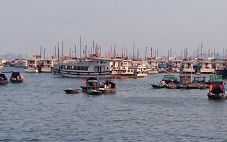 Sẽ dừng hoạt động 153 tàu du lịch trên Vịnh Hạ Long