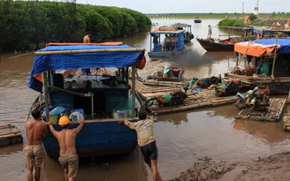 Tổ tàu thuyền đoàn kết, bám biển