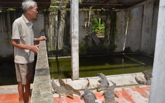 Lão nông đột phá làm giàu