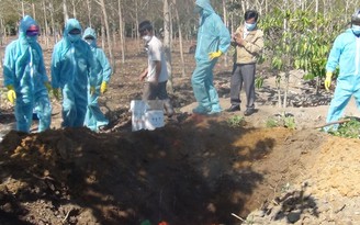 Xuất hiện ổ dịch cúm gia cầm H5N6 ở Kon Tum