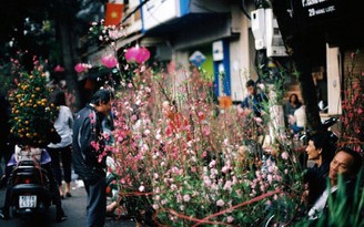 Hà Nội, Sài Gòn rộn ràng sắc xuân