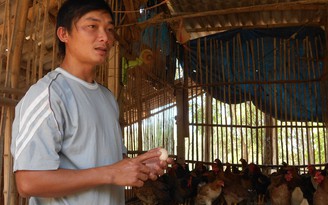 Tự tạo cơ hội: Làm giàu từ gà quê
