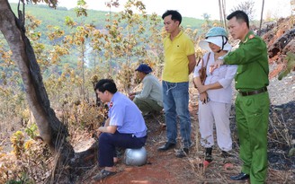 Nạn cháy vườn cây ở Bình Phước