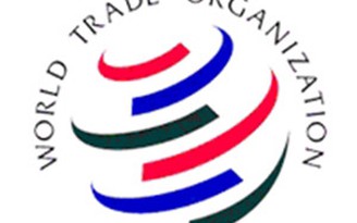 VN luôn coi trọng và thực thi nghiêm túc vai trò thành viên của WTO