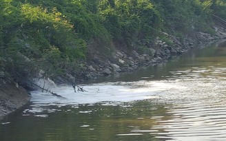 Sông Đáy bị ‘đầu độc’ vì nước thải