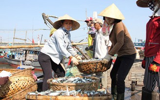 Đề nghị bồi thường cho người nuôi thủy sản vì ảnh hưởng sự cố môi trường Formosa