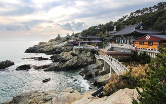 Đi Busan, Đài Loan quá dễ dàng, các tín đồ du lịch lại 'phát sốt'