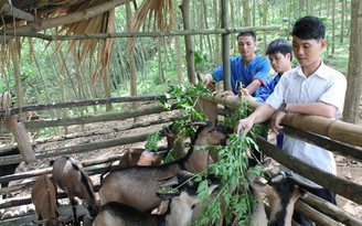 Phát động 'Xây dựng văn hóa doanh nghiệp VN'