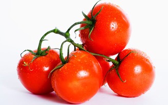 Cà chua giúp cải thiện triệu chứng mãn kinh
