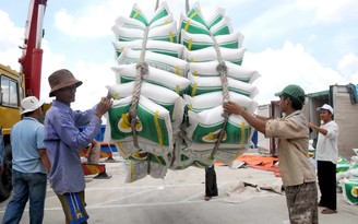 Giảm sản lượng, tăng chất lượng gạo xuất khẩu