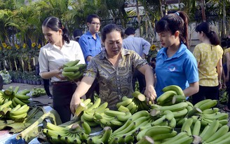 Người trẻ 'giải cứu' chuối cho nông dân