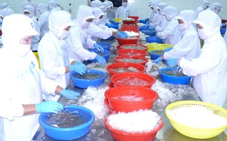 Khai thác thủy sản 4 tháng ước đạt hơn 1 triệu tấn