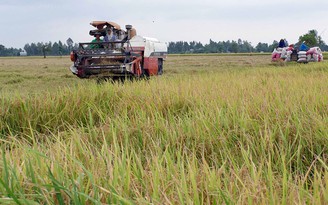 Nên để ruộng đất tích tụ tự nhiên