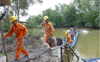 Thợ điện miền sông nước