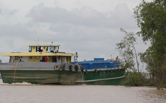 Cát tặc hoành hành trên sông Cổ Chiên