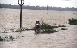 Miền Trung, miền Tây đối phó lũ, áp thấp nhiệt đới