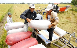 Đồng bằng sông Cửu Long sẽ phát triển bền vững, an toàn, thịnh vượng