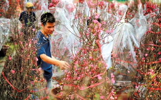 Vui chơi, giải trí ngày xuân