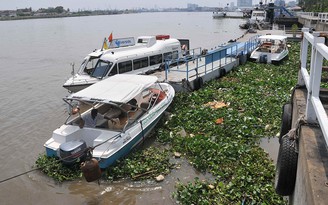 Tàu du lịch khốn khổ vì thiếu bến