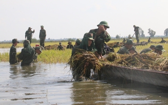 Giá trị nhất, cao quý nhất của quân đội là hình ảnh bộ đội Cụ Hồ