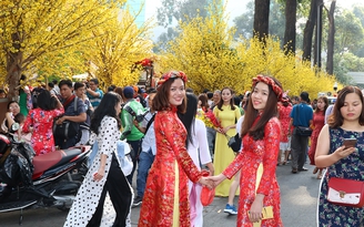 Rộn ràng sắc xuân trên phố