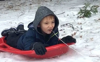 Cậu bé 6 tuổi dùng xe trượt tuyết để... nhổ răng