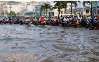 Dùng nước biển để 'cứu' ĐBSCL thoát ngập không khả thi?